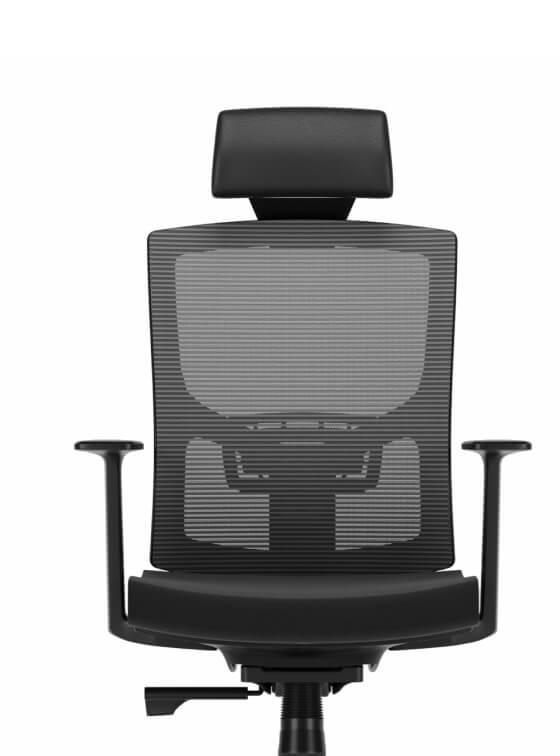 Newman Sleek Design, Superior Comfort